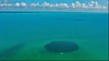 Buraco azul encontrado no México - Reprodução / Joan A. Sánchez-Sánchez