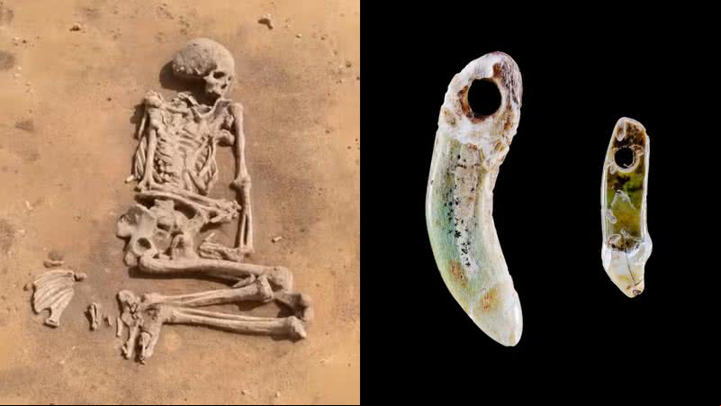 Sepultura de mulher do neolítico e joias de dentes de cachorro - Divulgação/Escritório Estadual de Preservação de Monumentos e Arqueologia Saxônia-Anhalt