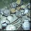 Jarros encontrados em descoberta na costa sul da França