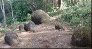 Jarros de pedra encontrados na Índia - Divulgação/BBC/North-Eastern Hill University e Uttam Bathari