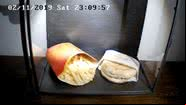Big Mac e fritas expostas em vidro - Divulgação / YouTube / Snotra House