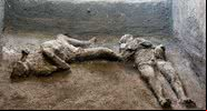 Imagem dos restos encontrados em Pompeia - Divulgação/Parque Arqueológico de Pompeia